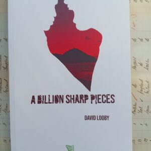 A Billion Sharp Pieces by David Looby